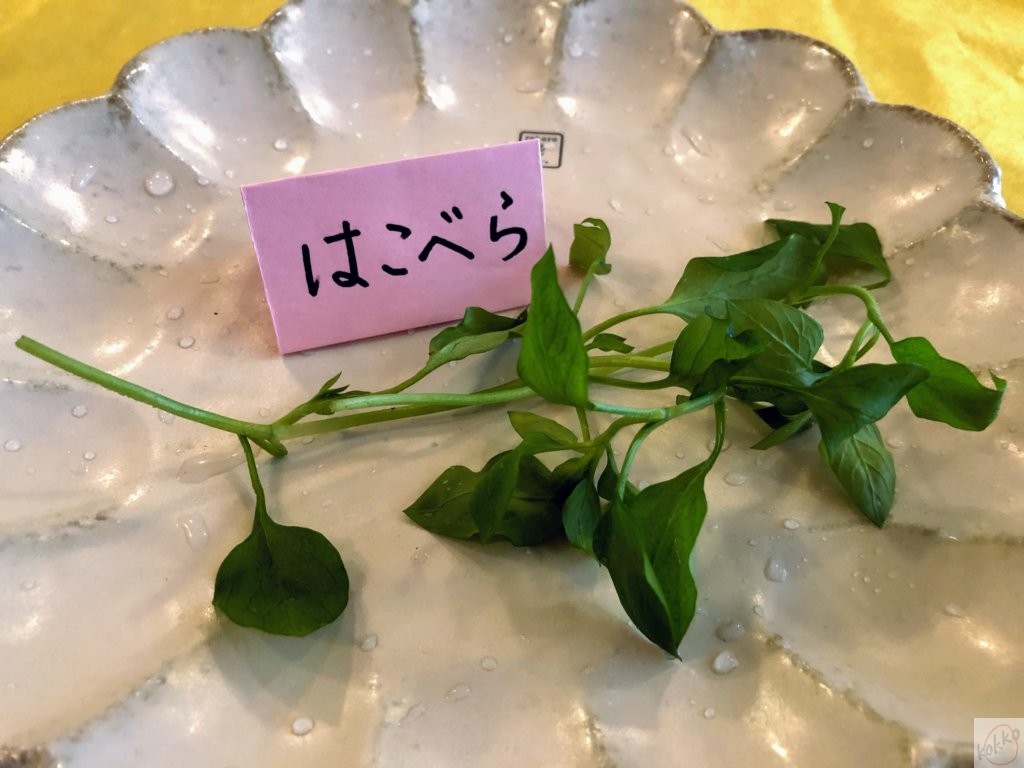 七草粥を食べるわけ 由来と意味を子どもに伝えよう こっこ先生のあそびば